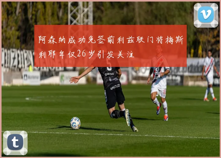 阿森纳成功免签前利兹联门将梅斯利耶年仅26岁引发关注